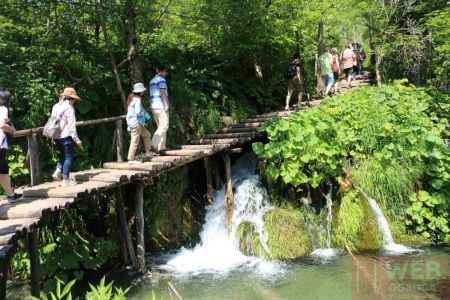 Пешеходные дорожки в Плитвицких озерах над мелкими водопадами