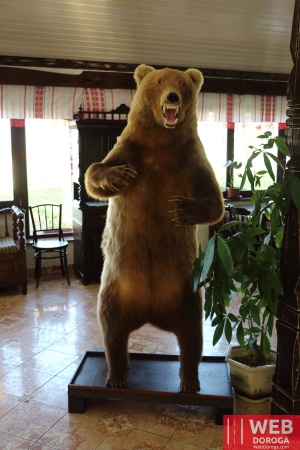 Медведь в ресторане Косино