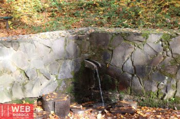 Источник с полезной минеральной водой в парке замка Шенборн